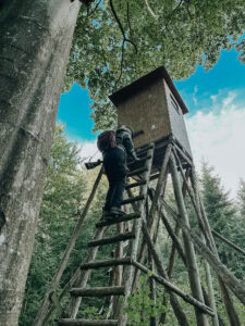 Hochstand