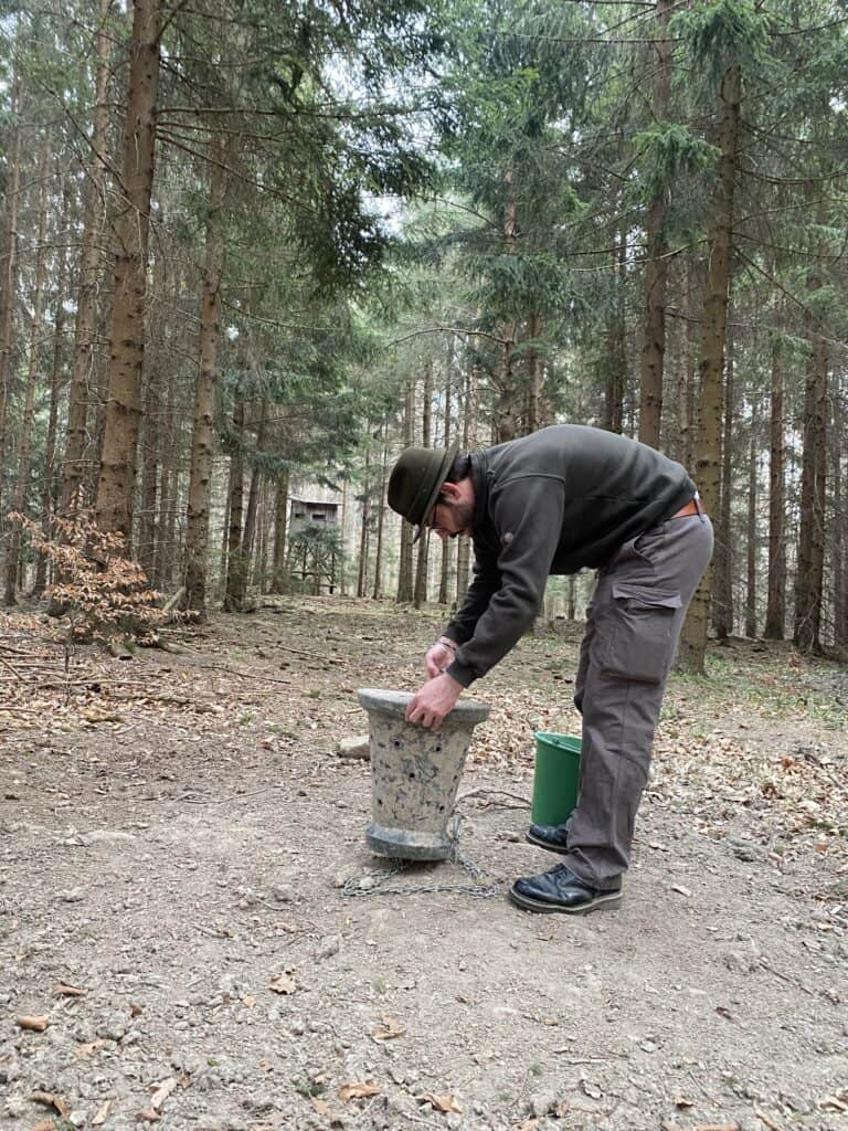 Schwarzwildkirrung