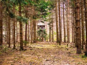 Hochstand