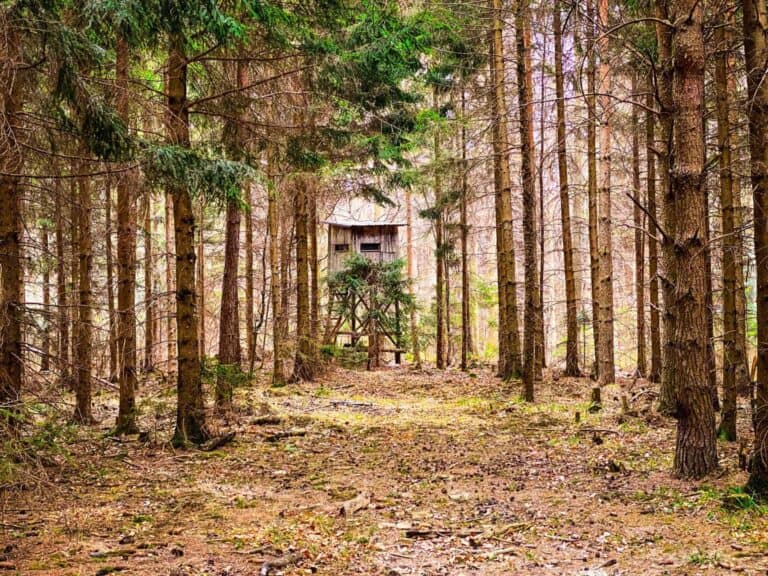 Hochstand