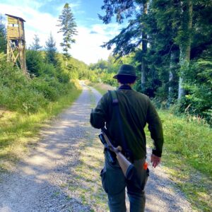 Ari auf der Jagd